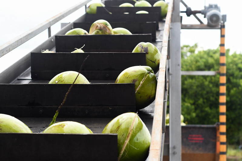 Podem ser financiados projetos para inovação tecnológica nos empreendimentos agropecuários 