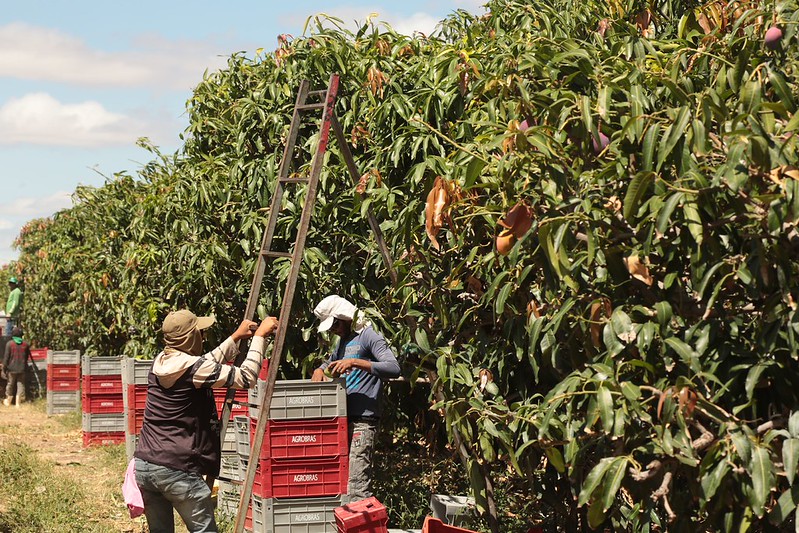 Em  até o momento o Agroamigo já contratou aproximadamente R  bilhões em mais de  mil operações FOTO Tibico Brasil
