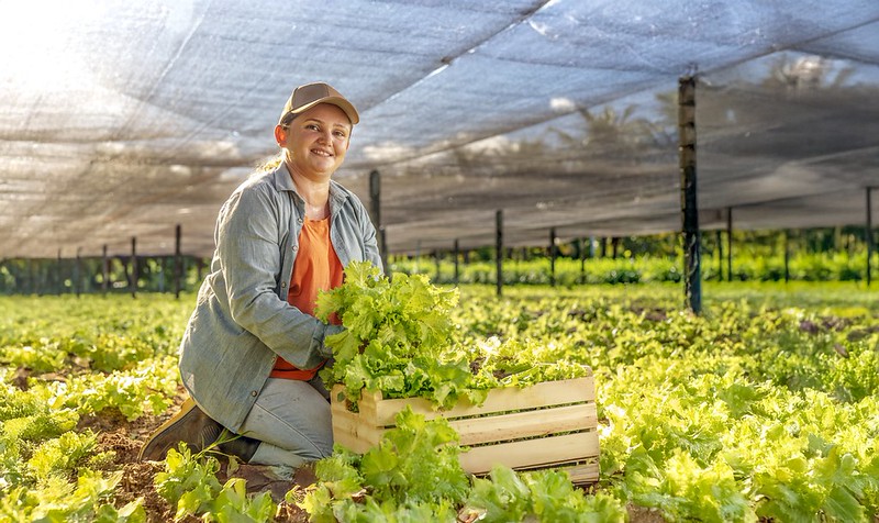 As contratações realizadas por mulheres passaram de R  milhões em  para R  bilhões no ano passado
