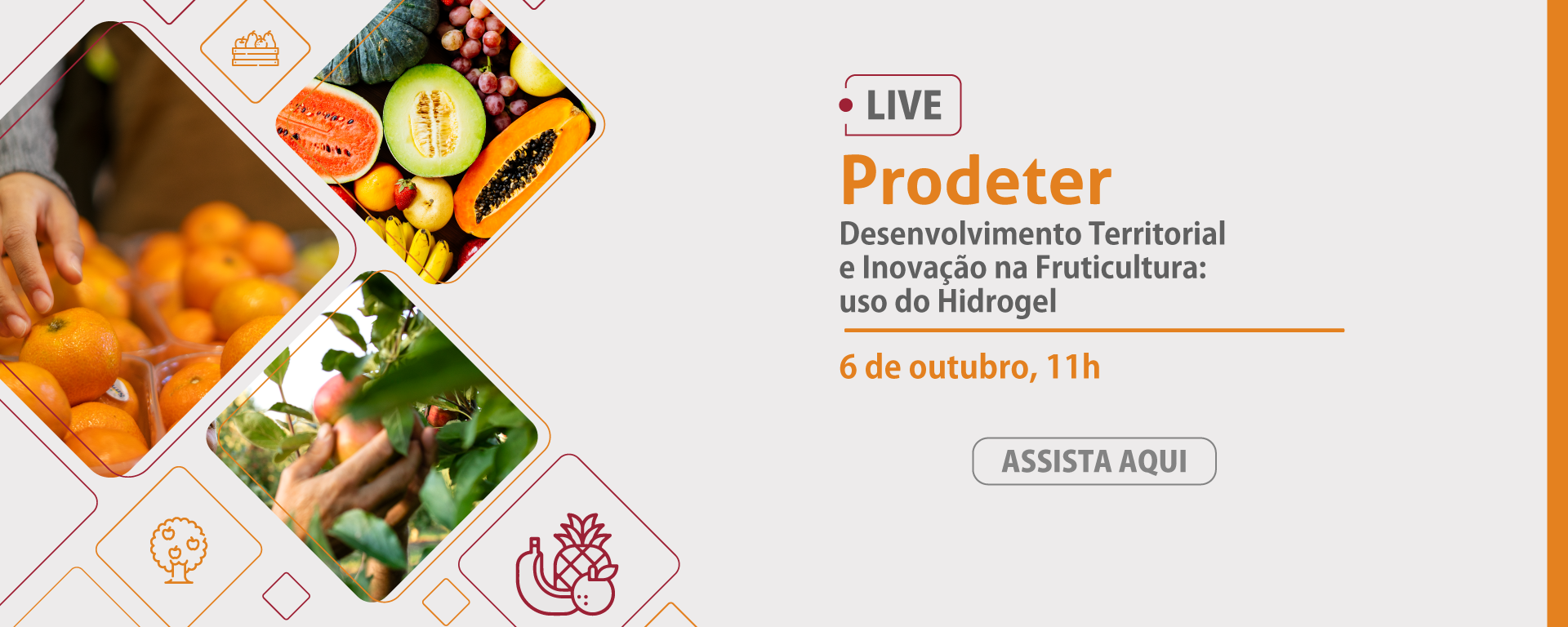 Live Prodeter. Desenvolvimento Territorial e Inovação na Fruticultura: uso do Hidrogel. 6 de outubro, 11h no Canal do Banco do Nordeste no YouTube. Clique e assista!