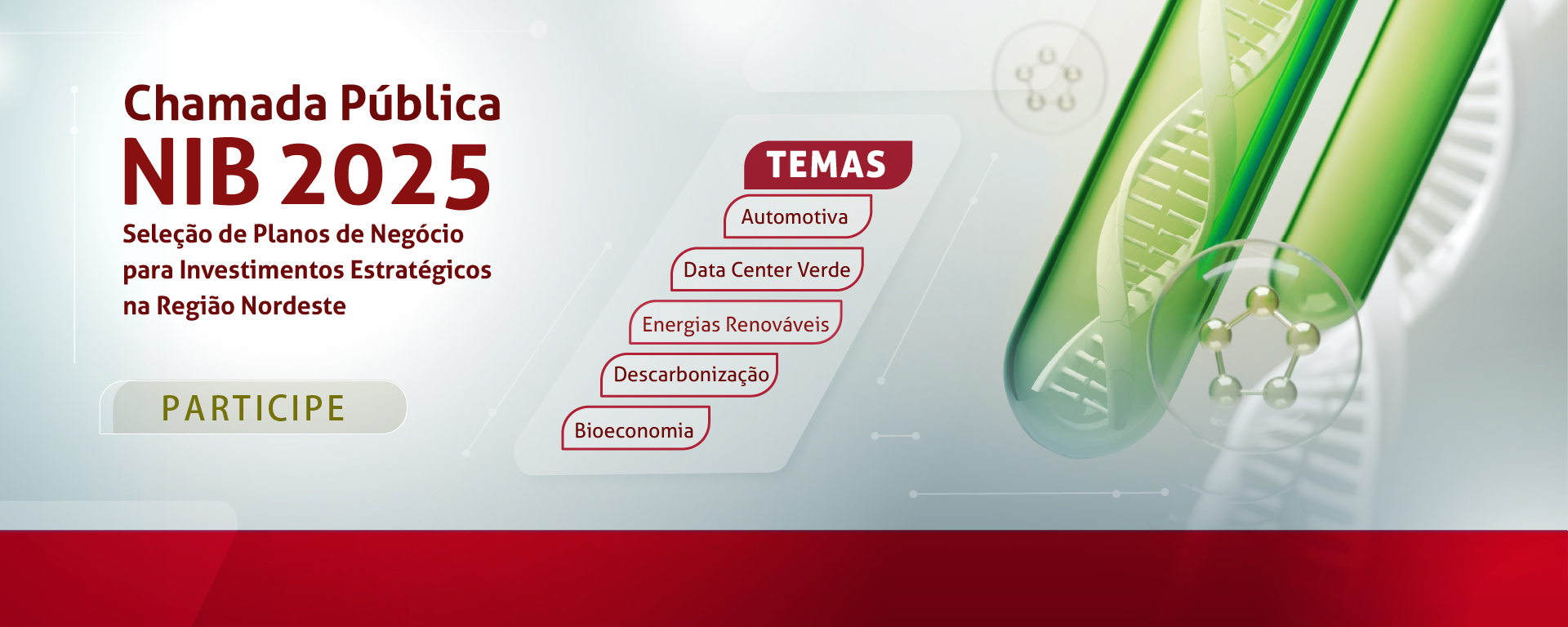 Clique aqui e visite a página Chamada Pública NIB 2025